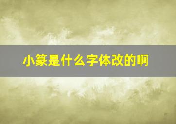 小篆是什么字体改的啊