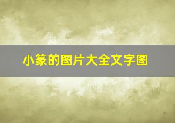 小篆的图片大全文字图