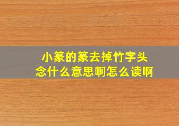 小篆的篆去掉竹字头念什么意思啊怎么读啊