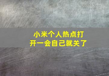 小米个人热点打开一会自己就关了