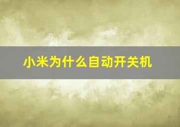 小米为什么自动开关机