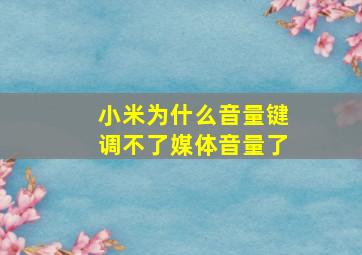 小米为什么音量键调不了媒体音量了