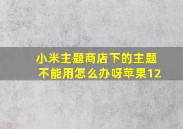 小米主题商店下的主题不能用怎么办呀苹果12