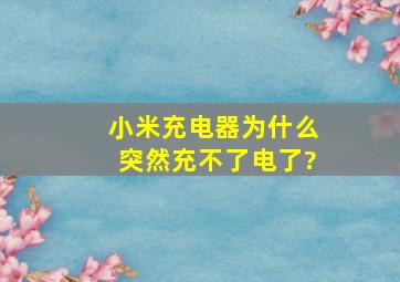 小米充电器为什么突然充不了电了?