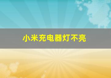 小米充电器灯不亮