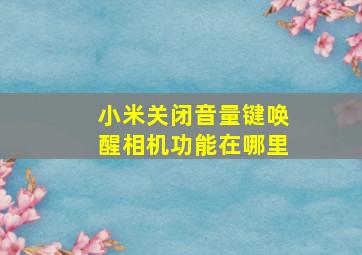 小米关闭音量键唤醒相机功能在哪里