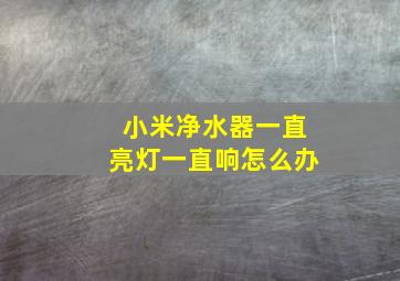 小米净水器一直亮灯一直响怎么办