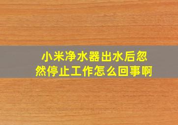 小米净水器出水后忽然停止工作怎么回事啊