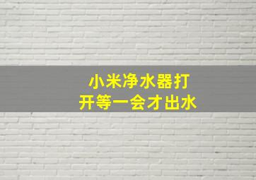 小米净水器打开等一会才出水