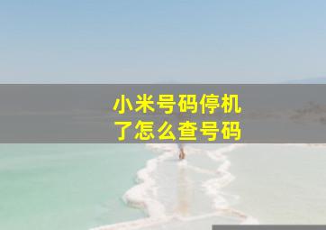 小米号码停机了怎么查号码