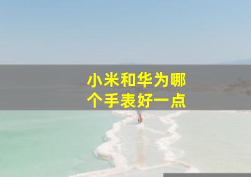 小米和华为哪个手表好一点