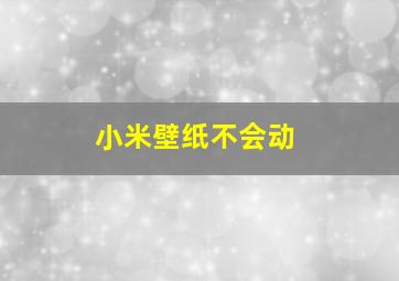 小米壁纸不会动