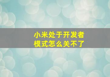 小米处于开发者模式怎么关不了