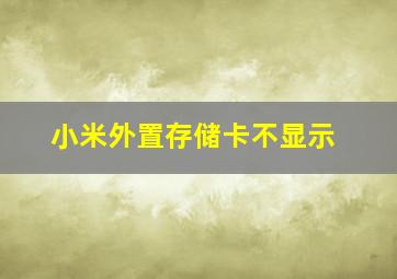 小米外置存储卡不显示