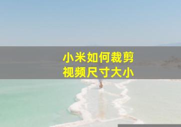 小米如何裁剪视频尺寸大小