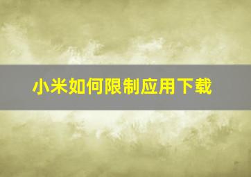 小米如何限制应用下载