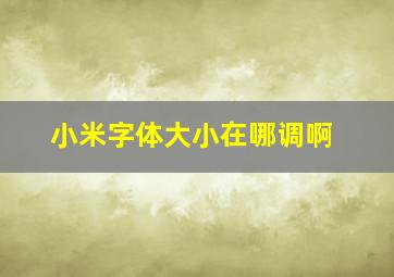 小米字体大小在哪调啊