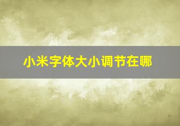 小米字体大小调节在哪