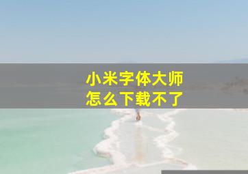 小米字体大师怎么下载不了