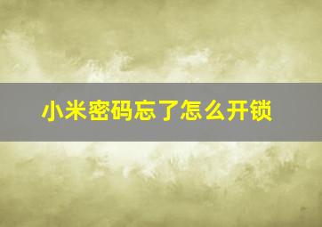 小米密码忘了怎么开锁