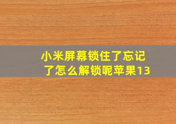 小米屏幕锁住了忘记了怎么解锁呢苹果13