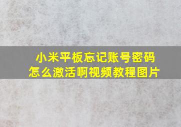 小米平板忘记账号密码怎么激活啊视频教程图片