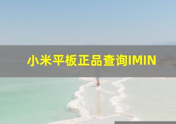 小米平板正品查询IMIN