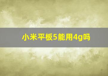 小米平板5能用4g吗