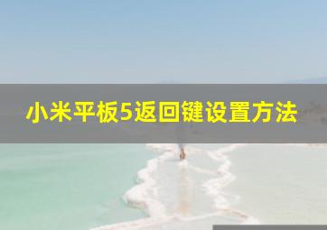 小米平板5返回键设置方法