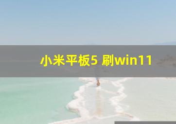 小米平板5 刷win11