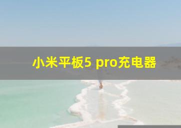 小米平板5 pro充电器