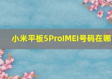 小米平板5ProIMEI号码在哪