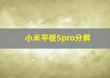 小米平板5pro分屏