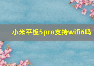 小米平板5pro支持wifi6吗