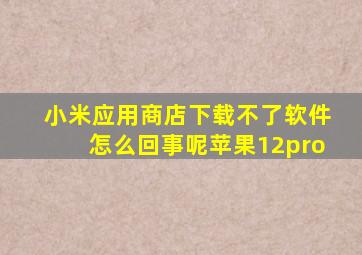 小米应用商店下载不了软件怎么回事呢苹果12pro