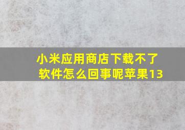 小米应用商店下载不了软件怎么回事呢苹果13