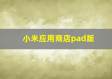 小米应用商店pad版