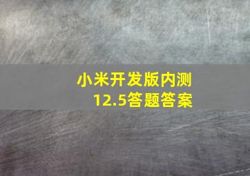 小米开发版内测12.5答题答案