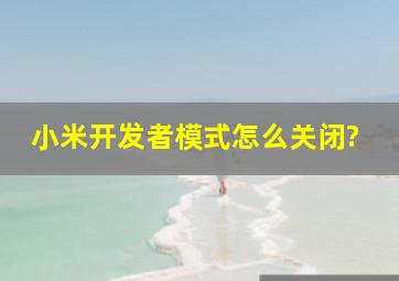 小米开发者模式怎么关闭?