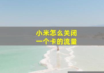 小米怎么关闭一个卡的流量