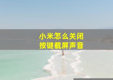 小米怎么关闭按键截屏声音