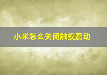 小米怎么关闭触摸震动