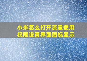 小米怎么打开流量使用权限设置界面图标显示