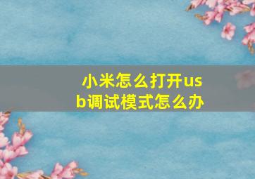 小米怎么打开usb调试模式怎么办