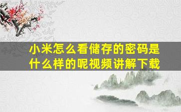 小米怎么看储存的密码是什么样的呢视频讲解下载