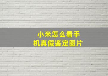 小米怎么看手机真假鉴定图片