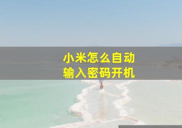 小米怎么自动输入密码开机