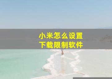 小米怎么设置下载限制软件