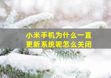 小米手机为什么一直更新系统呢怎么关闭