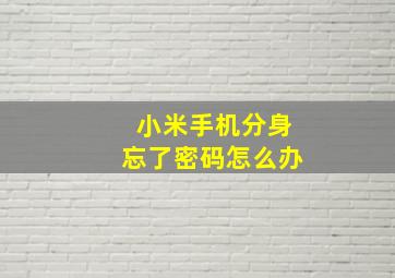 小米手机分身忘了密码怎么办